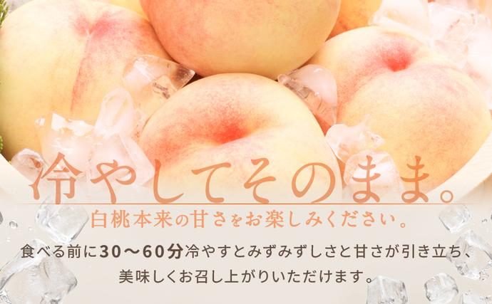 岡山県里庄町のふるさと納税 桃 2026年 先行予約 白桃 3玉 合計約800g もも モモ 岡山県産 国産 フルーツ 果物 ギフト