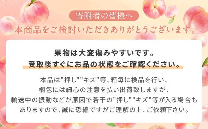 岡山県里庄町のふるさと納税 桃 2026年 先行予約 白桃 3玉 合計約800g もも モモ 岡山県産 国産 フルーツ 果物 ギフト