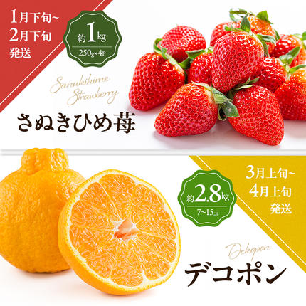 香川県東かがわ市のふるさと納税 讃岐のフルーツ6回定期便【B】【さぬきひめ苺】【デコポン】【なつたより(びわ)】【桃】【さぬきゴールドキウイ】【小原紅(さぬき紅みかん)】
