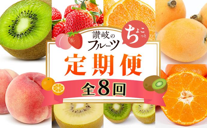 讃岐のちょこっとフルーツ定期便（全8回）【