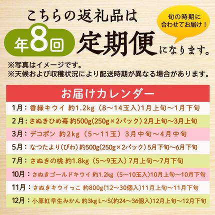 香川県東かがわ市のふるさと納税 讃岐のちょこっとフルーツ定期便（全8回）【香緑キウイ】【さぬきひめ苺】【デコポン】【なつたより(びわ)】【さぬきの桃】【さぬきゴールドキウイ】【さぬきキウイっこ】【小原紅早生みかん】