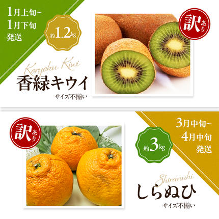 香川県東かがわ市のふるさと納税 讃岐の訳ありフルーツ定期便（全8回）