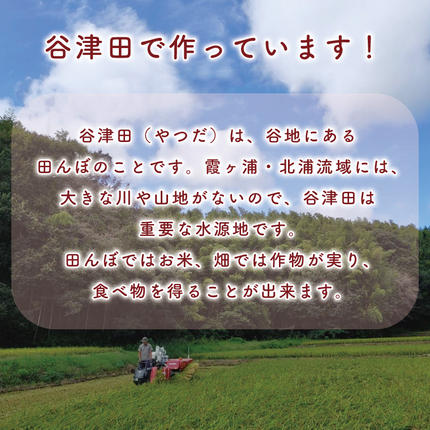 茨城県行方市のふるさと納税 満月もち米「杵つきのし餅」 2kg×2枚｜もち のし餅 お餅 もち米 満月 杵つき 菓子処坂本 茨城県 行方市(K-10-2)
