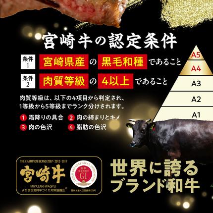 宮崎県都城市のふるさと納税 【数量限定】宮崎牛9種盛り焼肉セット_22-3101【肉 牛肉 人気 おすすめ 焼き肉 焼肉 BBQ】