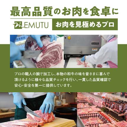 宮崎県都城市のふるさと納税 【数量限定】宮崎牛9種盛り焼肉セット_22-3101【肉 牛肉 人気 おすすめ 焼き肉 焼肉 BBQ】