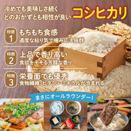 愛媛県鬼北町のふるさと納税 【令和8年産新米】【先行予約】谷口さん家のコシヒカリ 5kg | ご飯 白米 お米 5kg 令和8年産 精米済み 愛媛県鬼北町 ※離島への配送不可 ※2026年9月頃より順次発送予定