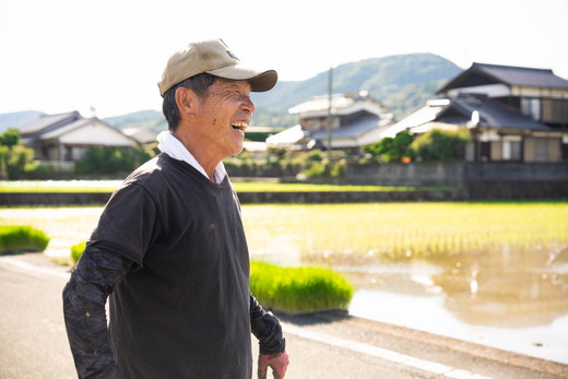 愛媛県鬼北町のふるさと納税 【令和8年産新米】【先行予約】谷口さん家のコシヒカリ 5kg | ご飯 白米 お米 5kg 令和8年産 精米済み 愛媛県鬼北町 ※離島への配送不可 ※2026年9月頃より順次発送予定