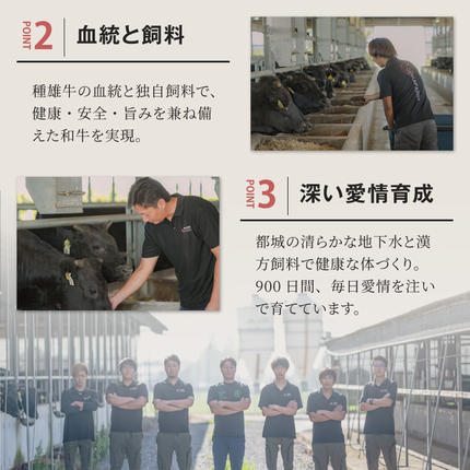 宮崎県都城市のふるさと納税 宮崎牛【赤身霜降り】すきしゃぶ700g_17-6507【肉 牛肉 スライス 人気 おすすめ すきやき しゃぶしゃぶ 焼き肉 焼肉 BBQ】