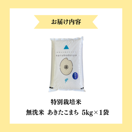 秋田県にかほ市のふるさと納税 【令和7年産】【無洗米】特別栽培米あきたこまち5kg×1 米 コメ こめ 秋田県産 国産米