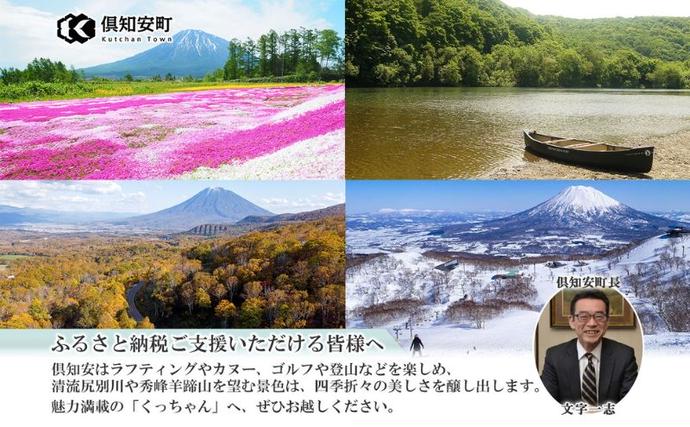 北海道倶知安町のふるさと納税 プリオール・ピコ トイレット ペーパー 1.5倍巻き シングル 90m 12ロール 6パック 日本製 まとめ買い リサイクル 防災 常備品 トイレ トイレットペーパー 消耗品 日用品 備蓄 送料無料 北海道 倶知安町 倶知安町