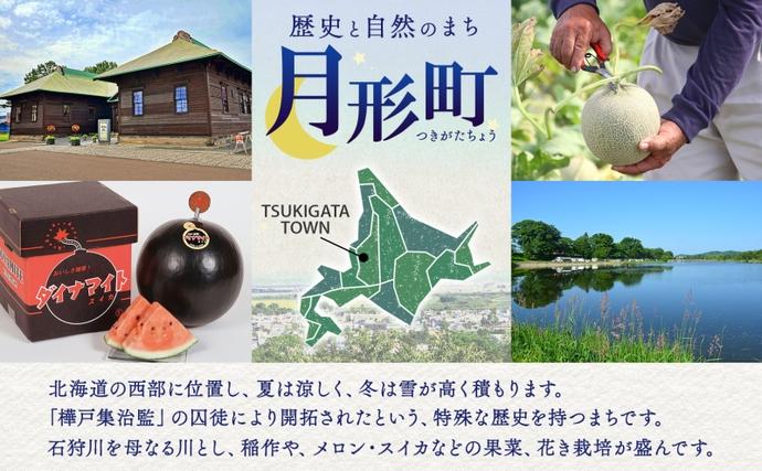 北海道月形町のふるさと納税 【2026年夏発送】北海道 青肉メロン 月雫 秀品 2玉 約1.6kg 計約3.2kg以上 令和8年 メロン 果物 フルーツ 旬 季節 希少 甘い 豊潤 国産 北海道産 デザート ご褒美 産地直送 ギフト お祝い 贈答品 贈り物 お取寄 送料無料