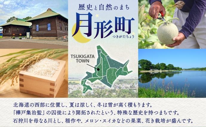 北海道月形町のふるさと納税 【2026年夏発送】北海道 青肉メロン 月雫 秀品 2玉 約1.6kg 計約3.2kg以上 令和8年 メロン 果物 フルーツ 旬 季節 希少 甘い 豊潤 国産 北海道産 デザート ご褒美 産地直送 ギフト お祝い 贈答品 贈り物 お取寄 送料無料