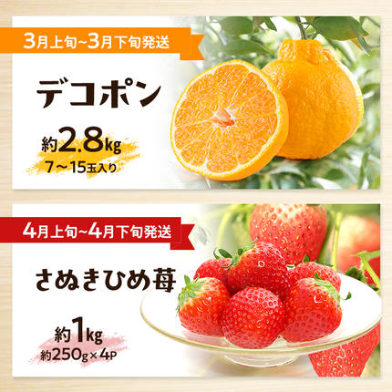 香川県東かがわ市のふるさと納税 讃岐のフルーツ定期便（全10回）