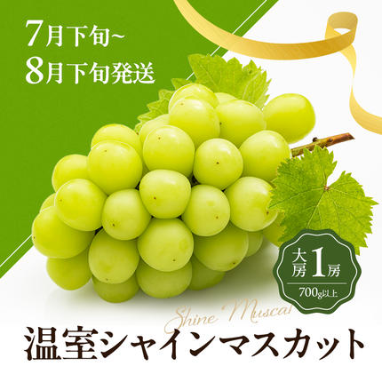 香川県東かがわ市のふるさと納税 数量限定！讃岐のフルーツ定期便（全3回）【さぬきひめ苺】【温室シャインマスカット 】【温州みかん】