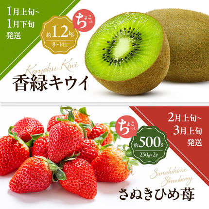 香川県東かがわ市のふるさと納税 讃岐のちょこっとフルーツ定期便（全8回）【香緑キウイ】【さぬきひめ苺】【デコポン】【なつたより(びわ)】【さぬきの桃】【さぬきゴールドキウイ】【さぬきキウイっこ】【小原紅早生みかん】