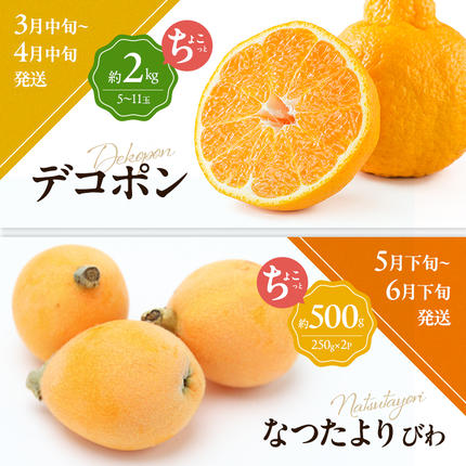 香川県東かがわ市のふるさと納税 讃岐のちょこっとフルーツ定期便（全8回）【香緑キウイ】【さぬきひめ苺】【デコポン】【なつたより(びわ)】【さぬきの桃】【さぬきゴールドキウイ】【さぬきキウイっこ】【小原紅早生みかん】