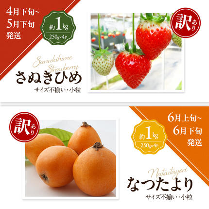 香川県東かがわ市のふるさと納税 讃岐の訳ありフルーツ定期便（全8回）
