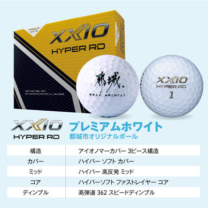 宮崎県都城市のふるさと納税 ゼクシオ 14 アイアン レフトハンドモデル スチールシャフト 単品【AW/R】《2025年モデル》ゴルフボールセット_IB-C705-AWR