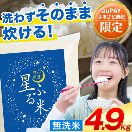 【au PAY ふるさと納税限定】応援米 