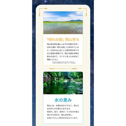 岡山県浅口市のふるさと納税 【au PAY ふるさと納税限定】応援米 星ふる米 無洗米 4.9kg (1袋) 岡山県産《7-14営業日以内に出荷(土日祝除く)》生活応援 ふるさと 岡山 岡山県 浅口市 米 ブレンド米 無洗米 おにぎり米 コメ お米