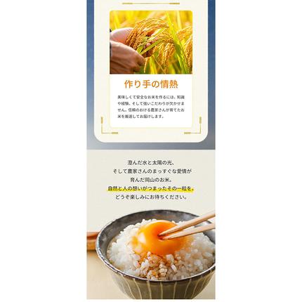 岡山県浅口市のふるさと納税 【au PAY ふるさと納税限定】応援米 星ふる米 無洗米 4.9kg (1袋) 岡山県産《7-14営業日以内に出荷(土日祝除く)》生活応援 ふるさと 岡山 岡山県 浅口市 米 ブレンド米 無洗米 おにぎり米 コメ お米