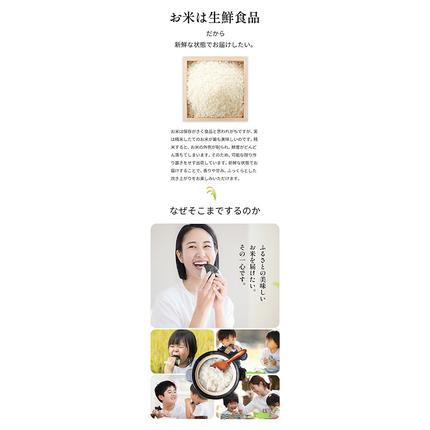 岡山県浅口市のふるさと納税 【au PAY ふるさと納税限定】応援米 星ふる米 無洗米 4.9kg (1袋) 岡山県産《7-14営業日以内に出荷(土日祝除く)》生活応援 ふるさと 岡山 岡山県 浅口市 米 ブレンド米 無洗米 おにぎり米 コメ お米