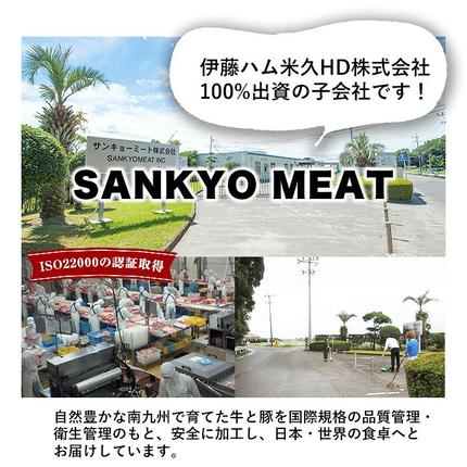 鹿児島県志布志市のふるさと納税 【数量限定】鹿児島県産黒毛和牛サーロインステーキ 200g×4枚 黒毛和牛 和牛 牛肉 A4等級 サーロインステーキ サーロイン ステーキ 霜降り 数量限定 九州産 国産 b7-011