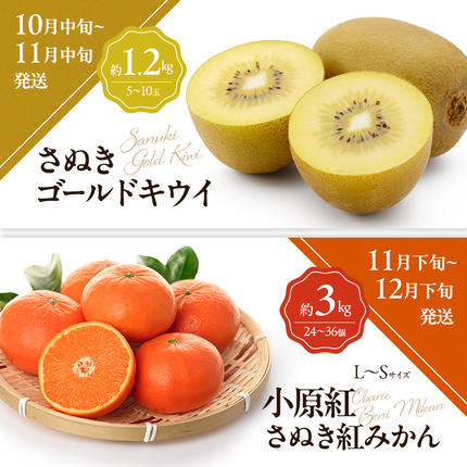 香川県東かがわ市のふるさと納税 讃岐のフルーツ6回定期便【B】【さぬきひめ苺】【デコポン】【なつたより(びわ)】【桃】【さぬきゴールドキウイ】【小原紅(さぬき紅みかん)】