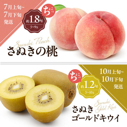 香川県東かがわ市のふるさと納税 讃岐のちょこっとフルーツ定期便（全8回）【香緑キウイ】【さぬきひめ苺】【デコポン】【なつたより(びわ)】【さぬきの桃】【さぬきゴールドキウイ】【さぬきキウイっこ】【小原紅早生みかん】