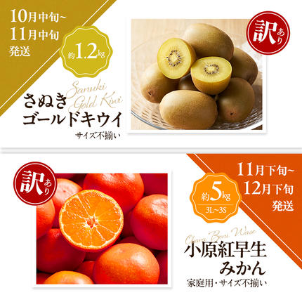 香川県東かがわ市のふるさと納税 讃岐の訳ありフルーツ定期便（全8回）