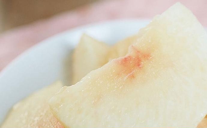 岡山県玉野市のふるさと納税 桃 2026年 先行予約 白桃 2玉入り 合計500g前後 岡山県産もも モモ 岡山県産 国産 フルーツ 果物 ギフト