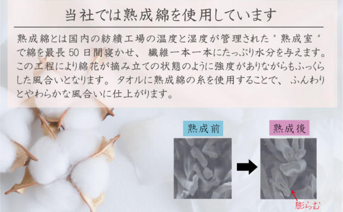 大阪府泉佐野市のふるさと納税 薄手白フェイスタオル 60枚セット 国内製造 泉州タオル 099H4058