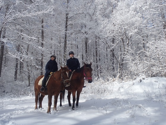 長野県小諸市のふるさと納税 体験 まきば軽井沢 まったり100分 乗馬 1名様 体験チケット 馬 自然