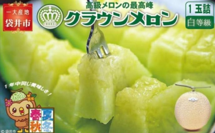 クラウンメロン（白上級）１玉入