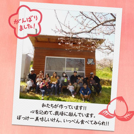 岡山県鏡野町のふるさと納税 ＜数量限定＞［なんばふぁーむ］岡山県産 旬の桃 2.0kg（5～9玉）［ご家庭用］【2026年発送】桃 もも モモ フルーツ 果物 ピーチ 完熟 朝採れ 朝採り 新鮮 旬 食べごろ 食べ頃 岡山産 産地直送 産直 特産 特産品 送料無料  岡山県 鏡野町