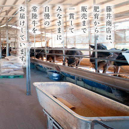 茨城県桜川市のふるさと納税 《定期便 全3回》【常陸牛】霜降り すきやき・しゃぶしゃぶ用 400g (茨城県共通返礼品) 牛 肉 すき焼き 国産牛 和牛 お肉 すき焼き肉 しゃぶしゃぶ A4 A5 ブランド牛 黒毛和牛 国産黒毛和牛 [CD097sa]