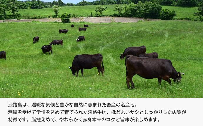 兵庫県淡路市のふるさと納税 【定期便6ヶ月】淡路牛 赤身三種食べ比べ（すき焼き・ステーキ・焼肉）【3D急速冷凍】 定期便