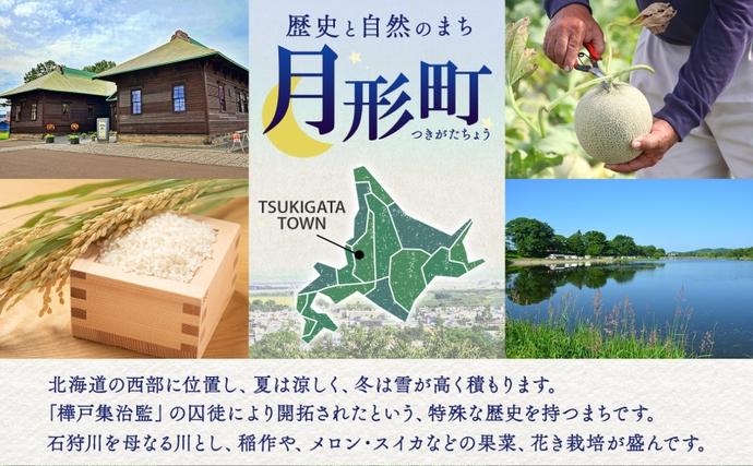 北海道月形町のふるさと納税 【令和8年産先行予約】北海道 定期便 隔月3回 令和8年産 ななつぼし 5kg×2袋 特A 精米 米 白米 ご飯 お米 ごはん 国産 北海道産 ブランド米 おにぎり ふっくら 常温 お取り寄せ 産地直送 R8年産 送料無料