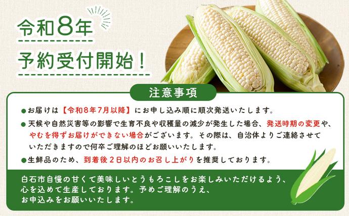宮城県白石市のふるさと納税 ★令和8年産予約開始★数量限定！ とうもろこし スイートコーン ピュアホワイト 5本入【06168】