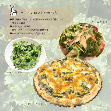 島根県邑南町のふるさと納税 カリーノケール1kg　6月よりお届け