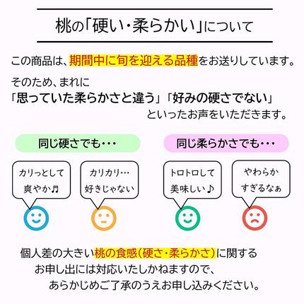 山形県南陽市のふるさと納税 【令和8年産先行予約】 《定期便4回》 フルーツ味わい定期便B 『フードシステムズ』 さくらんぼ 桃 シャインマスカット ラ・フランス りんご 果物 フルーツ 山形県 南陽市 [1141-R8]