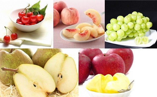 山形県南陽市のふるさと納税 【令和8年産先行予約】 《定期便4回》 フルーツ味わい定期便B 『フードシステムズ』 さくらんぼ 桃 シャインマスカット ラ・フランス りんご 果物 フルーツ 山形県 南陽市 [1141-R8]