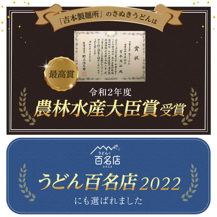 香川県東かがわ市のふるさと納税 讃岐うどん 15人前 農林水産大臣賞受賞 うどん つゆ付き  うどん 手打ちうどん 半生うどん  さぬきうどん 香川 香川県 東かがわ市