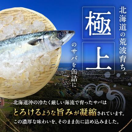 北海道枝幸町のふるさと納税 北海道オホーツク枝幸産 さば水煮 缶詰170g×24個 水揚げ当日フレッシュパック！［海洋食品］【 さば サバ サバ缶 缶詰 新鮮 惣菜 保存 長期 加工食品 魚貝 魚介 北海道 オホーツク 枝幸 】