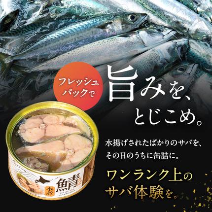 北海道枝幸町のふるさと納税 北海道オホーツク枝幸産 さば水煮 缶詰170g×24個 水揚げ当日フレッシュパック！［海洋食品］【 さば サバ サバ缶 缶詰 新鮮 惣菜 保存 長期 加工食品 魚貝 魚介 北海道 オホーツク 枝幸 】