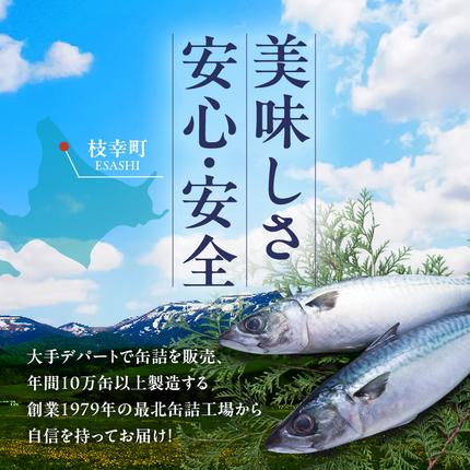北海道枝幸町のふるさと納税 北海道オホーツク枝幸産 さば水煮 缶詰170g×24個 水揚げ当日フレッシュパック！［海洋食品］【 さば サバ サバ缶 缶詰 新鮮 惣菜 保存 長期 加工食品 魚貝 魚介 北海道 オホーツク 枝幸 】