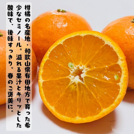 和歌山県美浜町のふるさと納税 【特撰】セミノール 2kg+200g(補償分)｜ みかん 高級 くだもの 晩柑 柑橘 和歌山