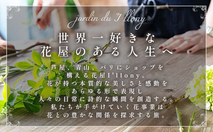 兵庫県芦屋市のふるさと納税 季節の花束《Soft》直径約30cm 【花 お花 フラワー 花束 贈り物 贈答ギフト プレゼント 記念日 兵庫県 芦屋市 アイロニー illony i'llony あいろにー】