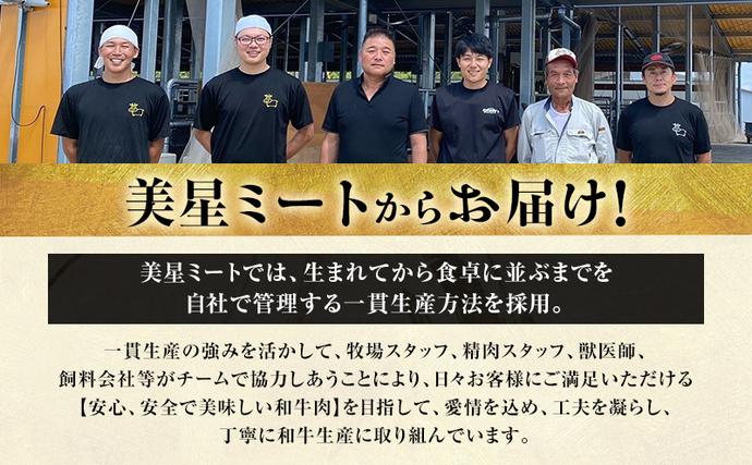 岡山県里庄町のふるさと納税 美星和牛 ステーキ切り落とし 約460g  牛肉 岡山県 里庄町 送料無料
