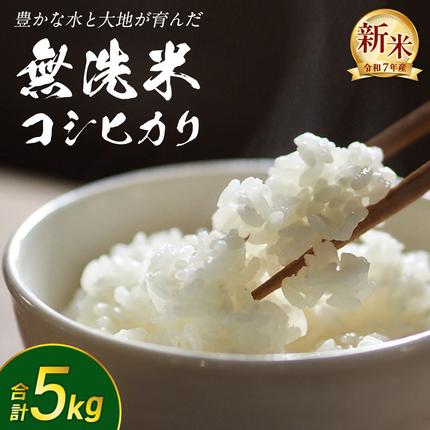無洗米 】令和7年産 新米 コシヒカリ 5kg 茨城県つくばみらい市産 時短